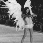 Victoria secret wings