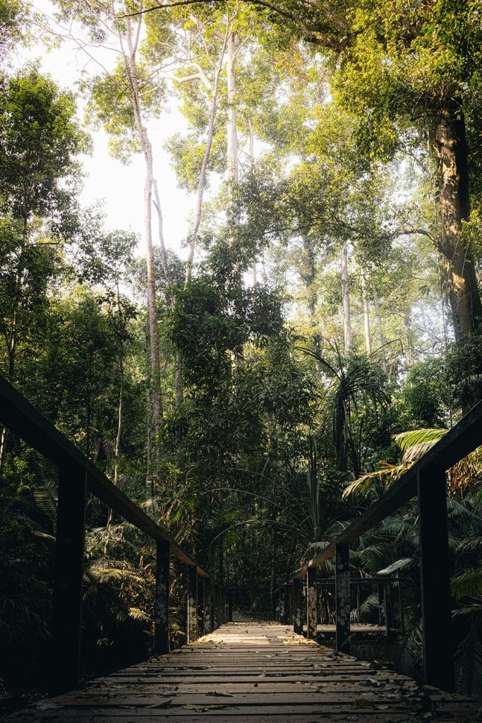 khao yai national park